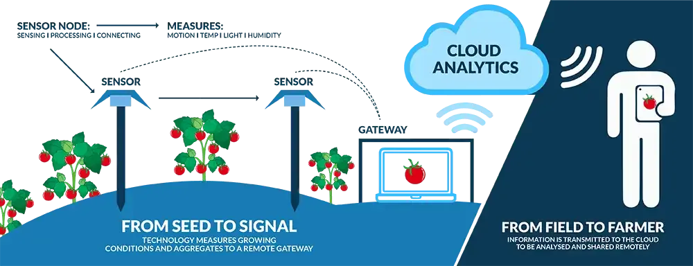 When Farming Practices and Technology Come Together