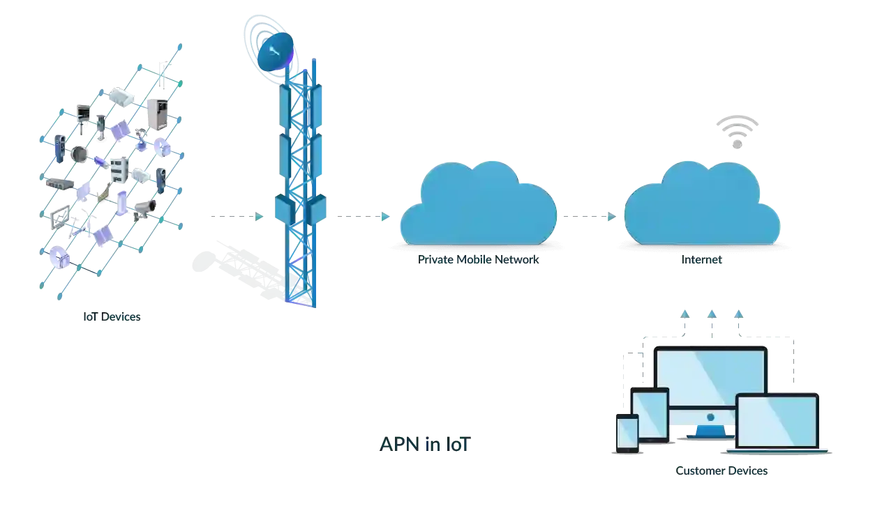 APN in IoT