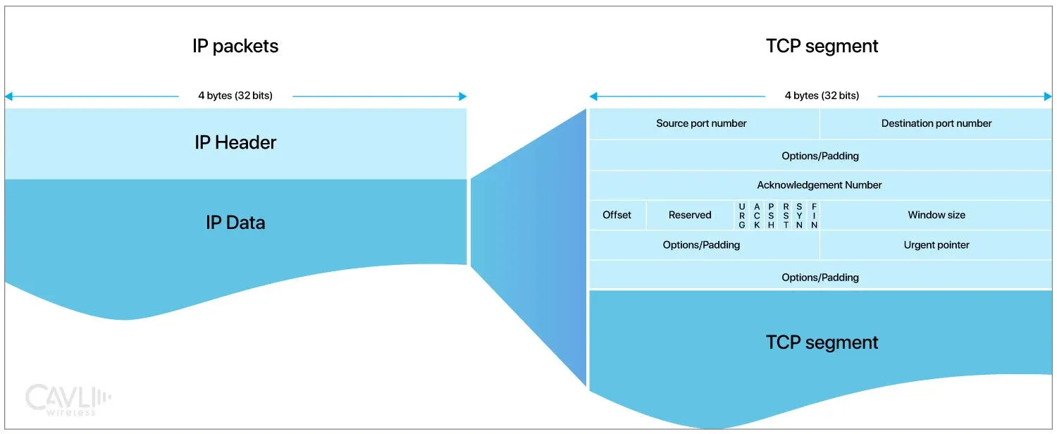 Components of TCP Protocol