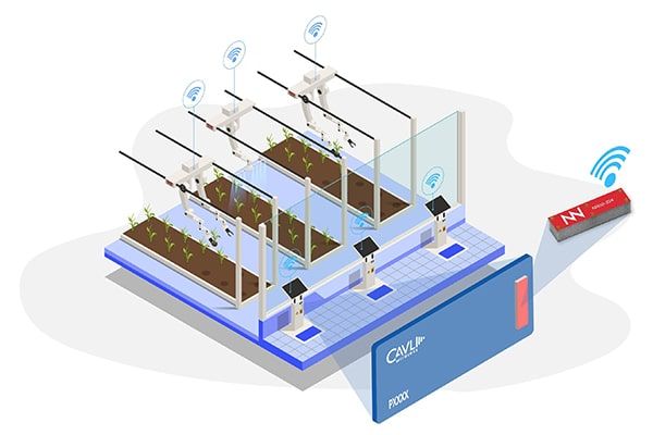 fractusantenna_blog_Smart Greenhouses (1).jpg