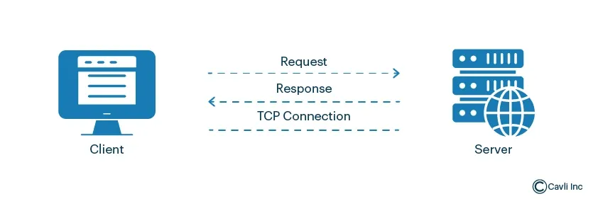 HTTP (Hypertext Transfer Protocol) and HTTPS (HTTP Secure)