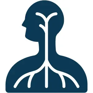 human-body.webp