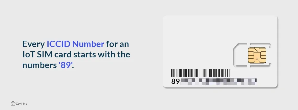 iccid-identifier.webp