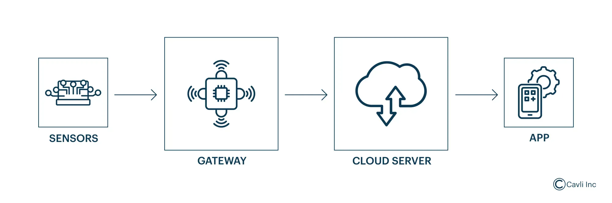 Components of remote IoT monitoring