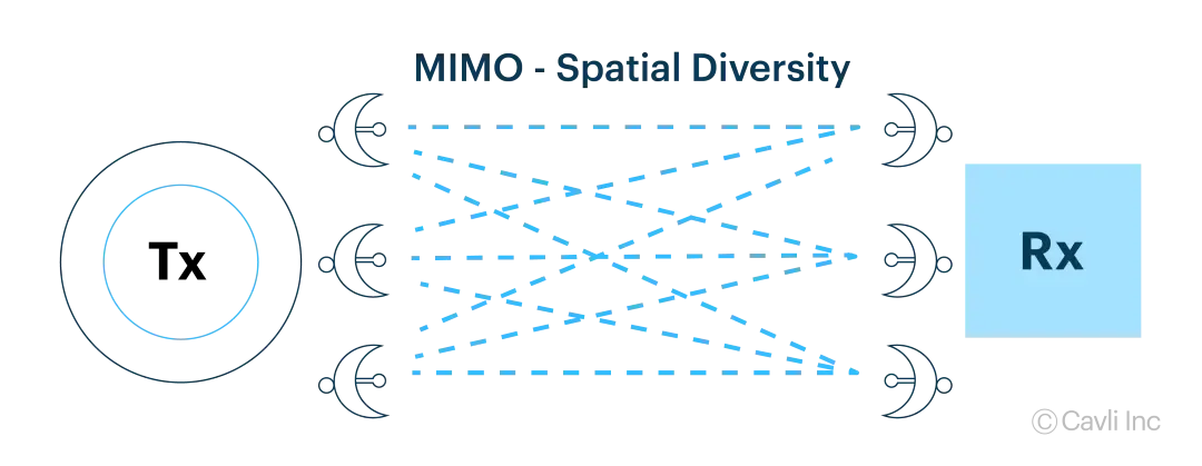 spacial-diversity.webp